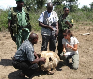 Delphine Schrank is a freelance writer who prior to her 2008 IRP Fellowship was a reporter for the Washington Post