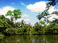 Photo courtesy of Omar Faruk