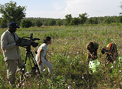 Fall 2006 IRP Fellow Na Eng