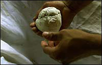 A ball of coca paste.