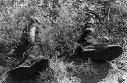 The skeletal remains of an Ethiopian soldier