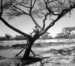 An Ethiopian soldier