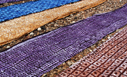 Photo courtesy of William Stadler