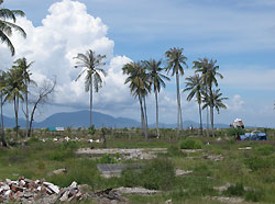 Photo by Fall 2005 IRP Fellow Michael Gartland