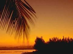 Micronesia/Marshall Islands