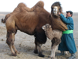 Photo by Fall 2005 IRP Fellow Michael Gartland