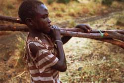 A young Nuba boy
